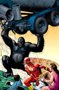 Gorilla Grodd 0004