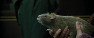 Harry-potter3-movie-screencaps.com-2175.jpg (163 KB) Pettigrew being held by Molly Weasley.