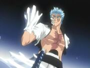 Grimmjow Frozen 1