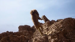 Lionking2019-animationscreencaps.com-5079