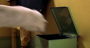Snowbell falling into the trash can.