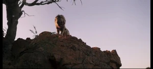 20221022 094056.jpg (212 KB)