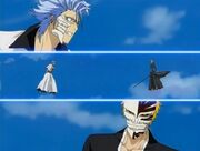 Grimmjow vs Ichigo 2nd fight