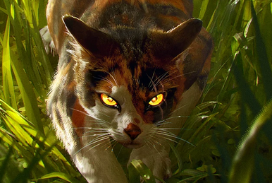Stickers Warrior Cats Villains Tigerstar Scourge Mapleshade Ashfur  Hawkfrost Glossy