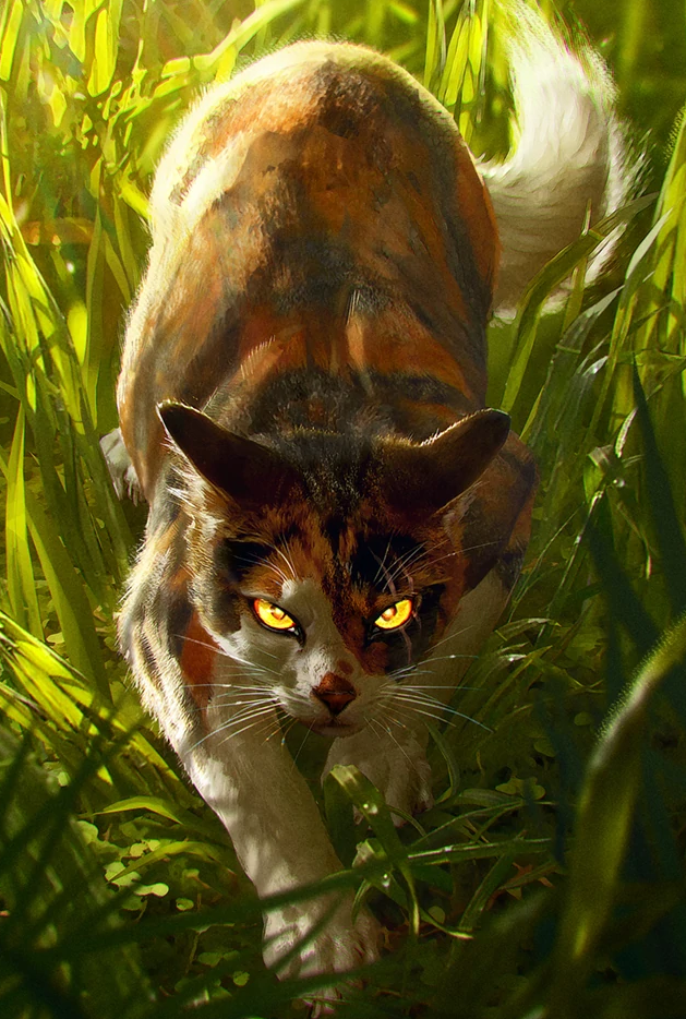 Cats Warriors. Mapleshade.