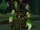 Grand Apothecary Putress