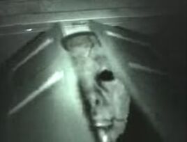 Thewhitemaskgreylock