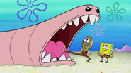 Alaskan bull worm about to eat fred