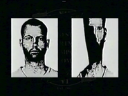 N in the The Mandela Catalogue Vol.1 [RESTORED EDITION]