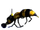 Wasp Cameras
