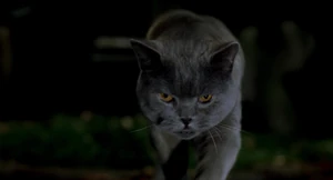 "How ya doin? You must be Stuart." (Stuart: Actually, I must be going.)