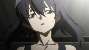 798455-akame ga kill 17 large 18