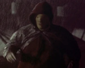 Gerald Demus Roof.jpg (172 KB) Escaping through the roof