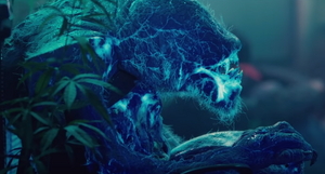 AtB Pheromones.png (255 KB) The dead female covered in the ultraviolet pheromone.