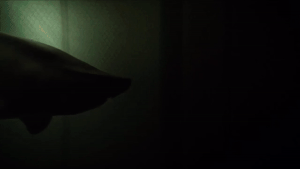 The Sand Tiger Shark as it kills Sheriff Sabin.