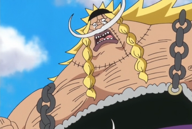 Seven Warlords of the Sea, One Piece Wiki