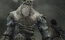 Barba Shadow of the Colossus Villains Wiki Fandom