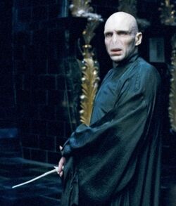 HORCRUXES: The Twisted Path to Immortality - Voldemort's 7 Horcruxes  Exposed - Fantasy Fragment