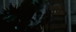 Von Rothbart as he appears in Black Swan.