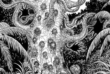 Kuriko, Junji Ito Wiki