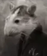 Wessler3.png (120 KB) Albert Wessler