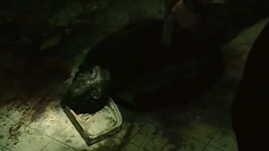 Zep's corpse at the end of Saw II.