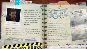 Damon in Chloe's journal.