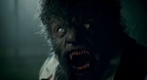 John Face.jpg (30 KB) Sir John after killing his wife.