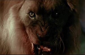 Lion Ghost and Darkness.jpg (93 KB) The Ghost's evil glare.