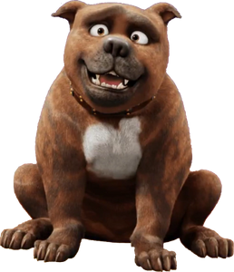 Rufus the Dog