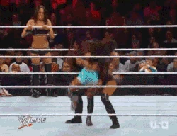 Alicia Fox tilt-a-whirl backbreaker.gif (1.98 MB) using a tilt-a-whirl backbreaker