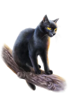 JuniperclawChinaTaiwan