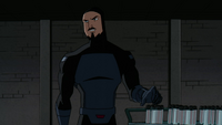 Shadow Thief Batman
