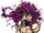Kars