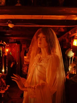 Bride (The Conjuring Universe) | Villains Wiki | Fandom Bride (The Conjuring Universe) | Villains Wiki | Fandom
