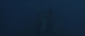 Jaws-movie-screencaps com-13520