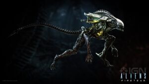 Praetorian Xenomorphs Fireteam.jpg