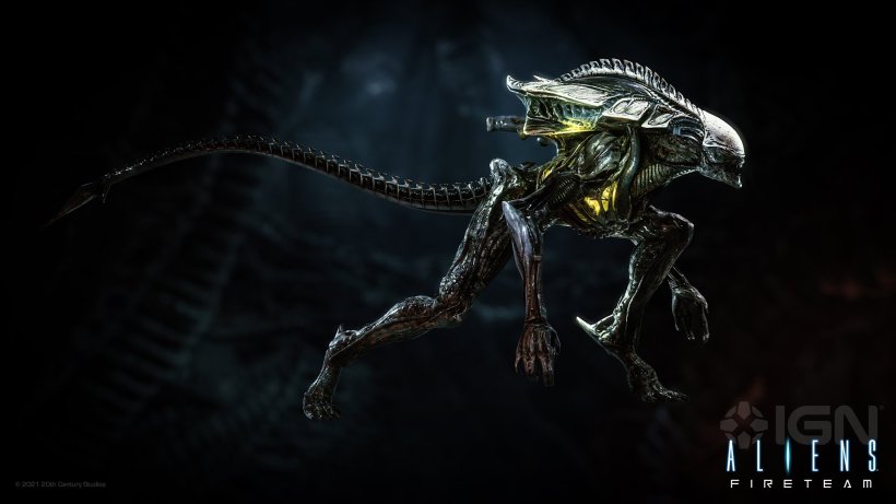 xenomorph praetorian head