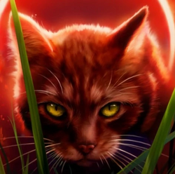 Warrior Cats - Third villain of the month: Sol Against the popular  choiceSol has to be my third favorite villain of the seriesto begin  with I'm an atheist so I just adore