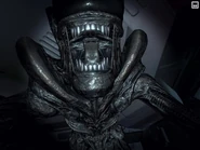 AlienJumpscare.jpeg (89 KB) The Alien about to kill Amanda