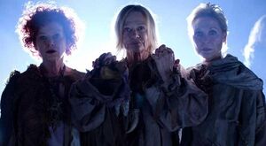 The Three Doyle Sisters.jpg (39 KB)