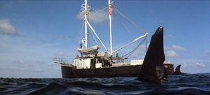 Orca approaches the boat as his mate starts to be pulled up.