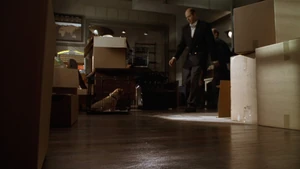 Garfield-movie-screencaps.com-6258.jpg (210 KB)