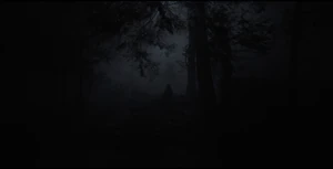 Image 2024-08-30 181135503.png (1.57 MB) Middle of the image.