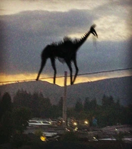 Oxhgt8h0sm051.jpg (60 KB)