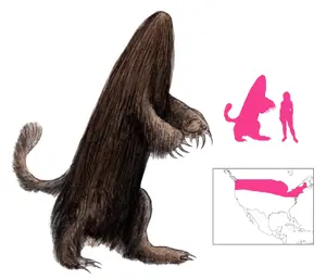 Hidebehind.webp (138 KB) Hidebehind.