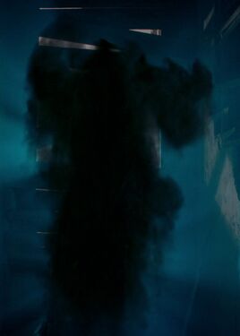 Shadow form