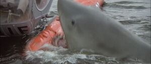 Jaws2-movie-screencaps com-10865