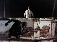 Lynch before jumping out and killing Sharif