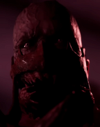 A close-up of the Champion's face.